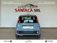 Usata Fiat Panda Easy 69 CV (50 kW) 2020 Grigio Utilitaria