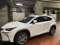 Usata Lexus NX300h Executive Line 155 CV (114 kW) 2017 Bianco SUV