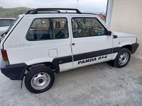 Usata Fiat Panda 4x4 Trekking 54 CV (39 kW) 2002 Utilitaria