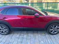 usata Mazda CX-30 2.0L Skyactiv-G M Hybrid 2WD Exclusive