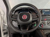 Nuova Fiat Panda Icon 94 CV (69 kW) 2025 Bianco Utilitaria