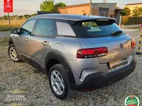Usata Citroën C4 Shine 110 CV (80 kW) 2019 Grigio Berlina