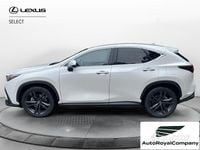 Usata Lexus NX350 243 CV (178 kW) 2024 Berlina