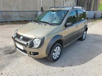 Usata Fiat Panda Cross Cross 69 CV (50 kW) 2007 Grigio Utilitaria