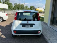 Usata Fiat Panda Easy 69 CV (50 kW) 2020 Bianco Utilitaria