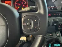 Usata Fiat Panda Cross Cross 71 CV (52 kW) 2023 Grigio Utilitaria