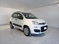Usata Fiat Panda Lounge 80 CV (58 kW) 2014 Bianco Utilitaria