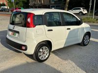 Usata Fiat Panda Easy 80 CV (58 kW) 2018 Bianco Utilitaria