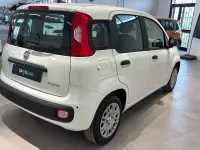 Nuova Fiat Panda 69 CV (50 kW) 2025 Bianco Utilitaria
