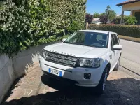 Usata Land Rover Freelander 2 SE 190 CV (139 kW) 2014 Bianco SUV