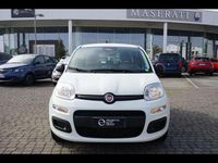 Usata Fiat Panda 2025 Bianco Utilitaria