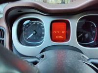 Usata Fiat Panda Cross Cross 80 CV (58 kW) 2015 Verde Utilitaria
