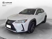 Usata Lexus UX 250h Executive Line 184 CV (135 kW) 2022 Bianco perla SUV