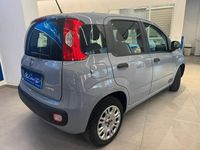 Usata Fiat Panda S 70 CV (51 kW) 2022 Grigio Utilitaria