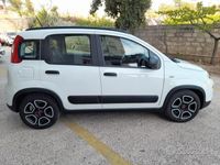 usata Fiat Panda 3ª serie - 2021