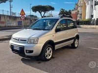 Usata Fiat Panda 4x4 Climbing 59 CV (43 kW) 2008 Grigio Utilitaria