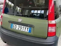 Usata Fiat Panda 75 CV (55 kW) 2010 Verde Utilitaria