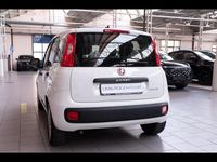 Nuova Fiat Panda Icon 70 CV (51 kW) 2025 Utilitaria