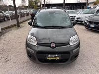 Usata Fiat Panda Lounge 85 CV (62 kW) 2019 Grigio Utilitaria