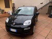 Usata Fiat Panda Icon 69 CV (50 kW) 2025 Utilitaria