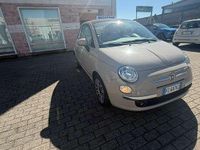 Usata Fiat 500 Lounge 86 CV (63 kW) 2015 Beige Utilitaria