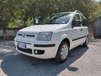 Usata Fiat Panda Dynamic 75 CV (55 kW) 2011 Bianco Utilitaria