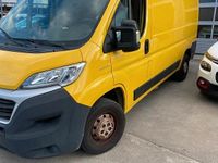 Usata Fiat Ducato 130 CV (95 kW) 2019 Giallo Furgone