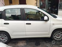 Usata Fiat Panda Easy 69 CV (50 kW) 2016 Bianco Utilitaria