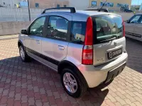 Usata Fiat Panda 4x4 Climbing 69 CV (50 kW) 2006 Grigio Utilitaria