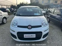 Usata Fiat Panda Lounge 69 CV (50 kW) 2020 Bianco Utilitaria