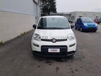 usata Fiat Panda 1.0 FireFly S&S Hybrid nuovo