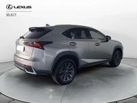 Usata Lexus NX300h 155 CV (114 kW) 2021 Other SUV