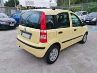Usata Fiat Panda Dynamic 60 CV (44 kW) 2007 Giallo Utilitaria