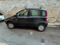 Usata Fiat Panda 4x4 2010 Utilitaria