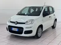 Usata Fiat Panda Easy 69 CV (50 kW) 2020 Bianco Utilitaria