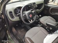 Usata Fiat Panda 4x4 S 75 CV (55 kW) 2014 Verde Utilitaria