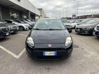 usata Fiat Punto Punto5p 1.3 mjt / NEOPATENTATI