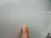 Usata Fiat 500L Business 95 CV (69 kW) 2018 Bianco Monovolume