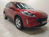 Usata Ford Kuga Business Edition 120 CV (88 kW) 2021 Rosso SUV