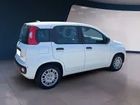 Usata Fiat Panda 69 CV (50 kW) 2025 Bianco Utilitaria