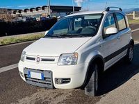 Usata Fiat Panda 4x4 Climbing 75 CV (55 kW) 2011 Bianco Utilitaria