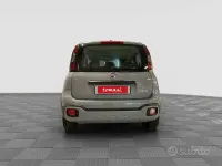 Usata Fiat Panda S 69 CV (50 kW) 2021 Grigio Utilitaria