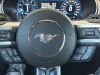 Usata Ford Mustang GT Fastback 460 CV (338 kW) 2024 Coupé