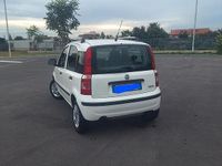 Usata Fiat Panda 77 CV (56 kW) 2012 Bianco Utilitaria
