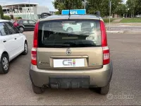 Usata Fiat Panda Climbing 60 CV (44 kW) 2008 Bronzo Utilitaria