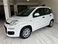 Usata Fiat Panda Easy 80 CV (58 kW) 2017 Bianco Utilitaria