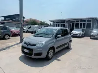 Usata Fiat Panda Easy 69 CV (50 kW) 2017 Grigio Utilitaria