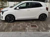 Usata Kia Picanto 63 CV (46 kW) 2024 Bianco Utilitaria