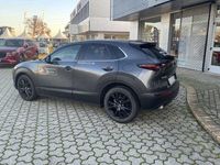 usata Mazda CX-30 e-Skyactiv-X M Hybrid 2WD Homura del 2023 usata a Caresanablot