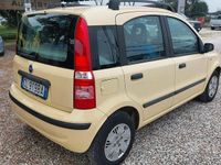 Usata Fiat Panda Dynamic 60 CV (44 kW) 2004 Giallo Berlina